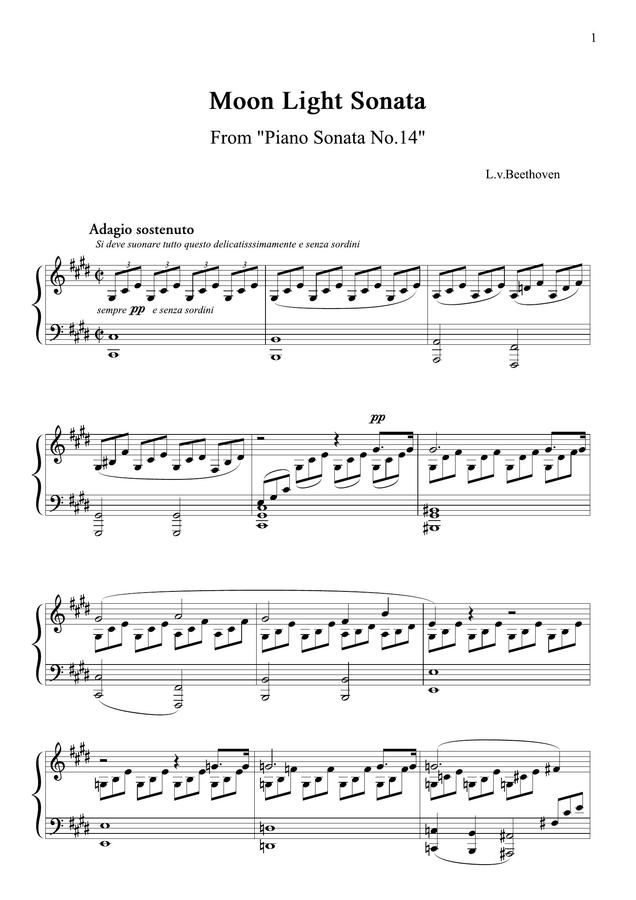 L.V.Beethoven (베토벤) - Piano Sonata No.14 1st Movt (월광 소나타 1악장)
