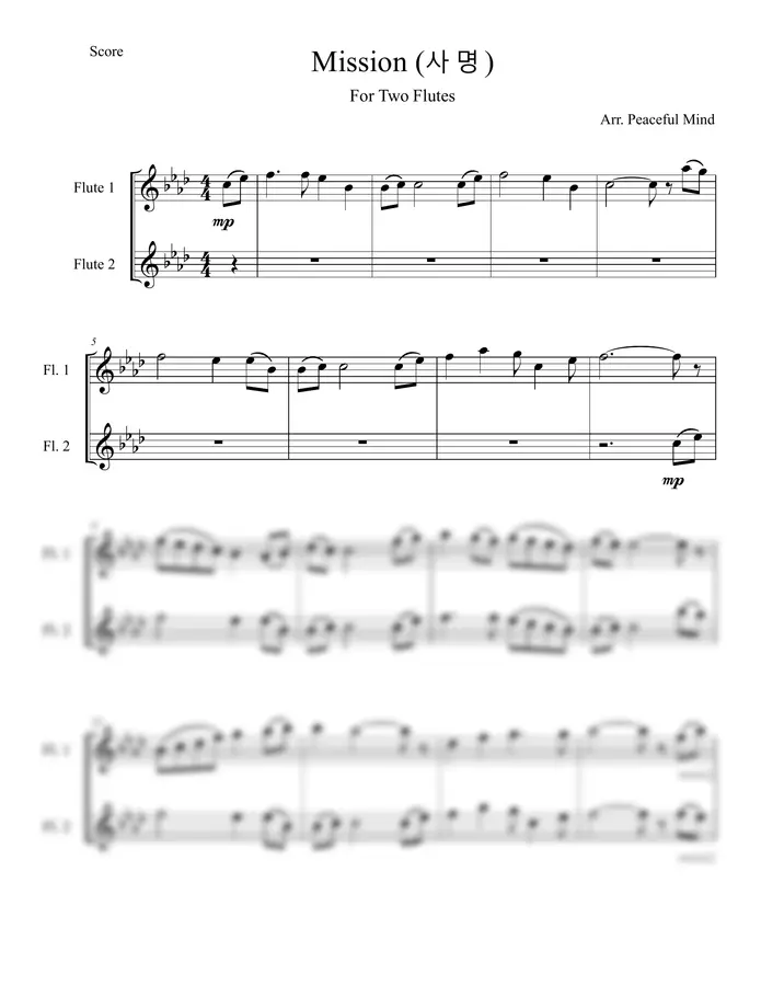 이권희 / Arr. Peaceful Mind - Mission (사명)