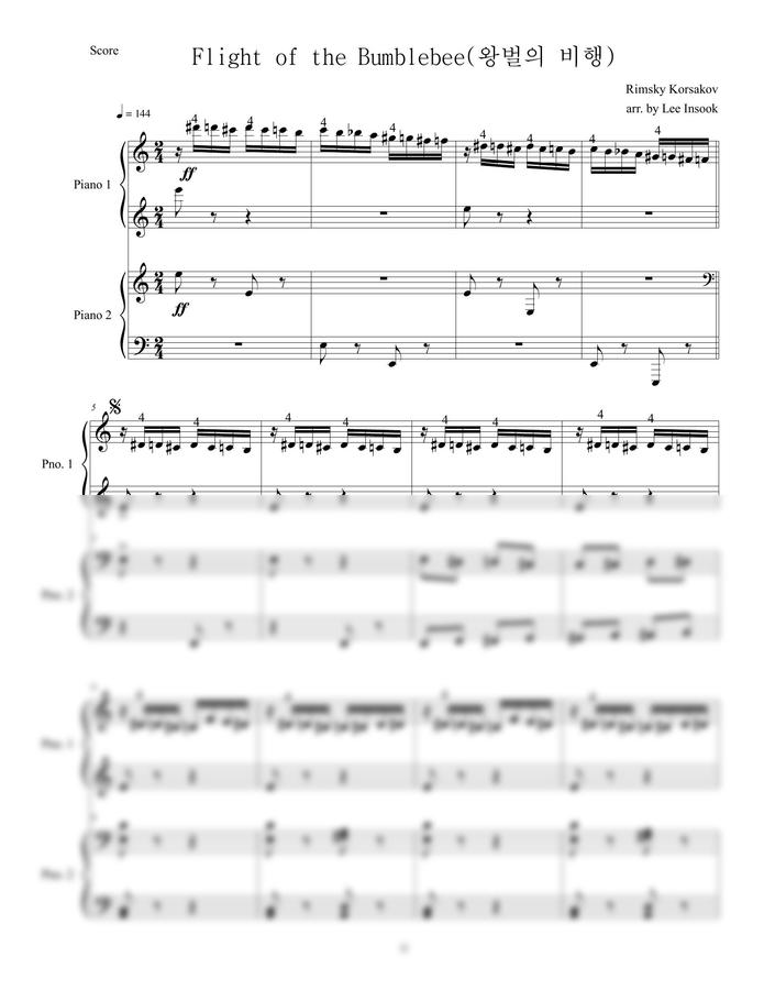 Rimsky Korsakov (림스키 코르사코프) - 왕벌의 비행 (4 hands) by Lisa0