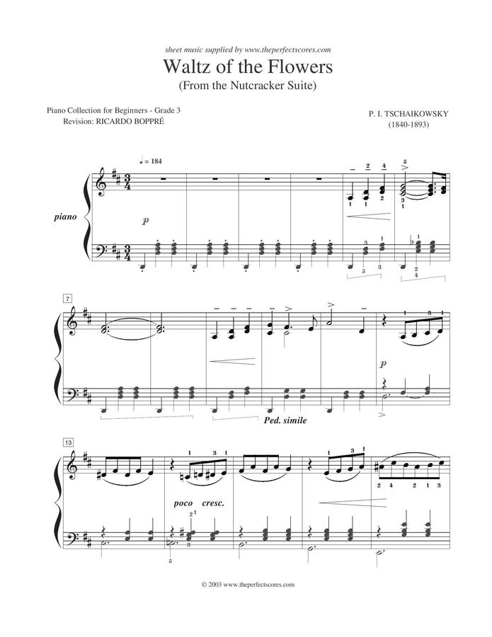 Tchaikovsky (차이코프스키) - 꽃의 왈츠  (쉬움) by Ricardo Boppere0