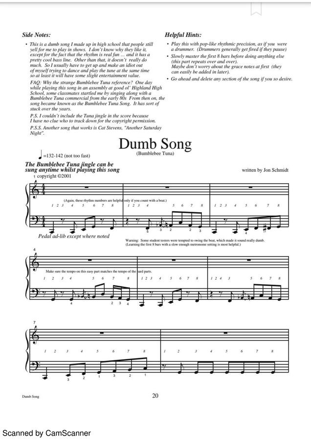 Jon Schmidt - Dumb Song
