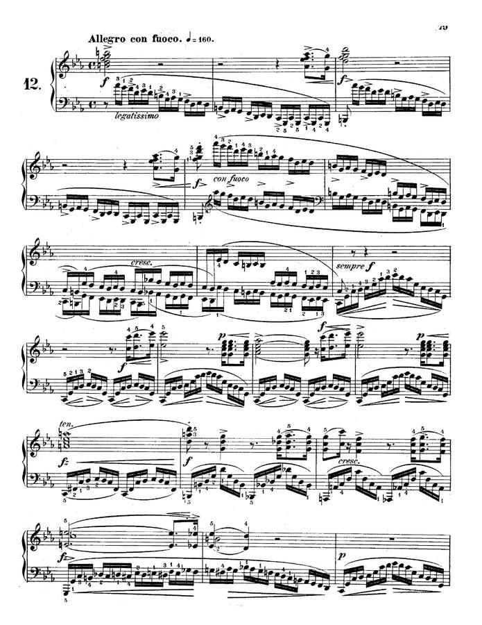 F. Chopin (쇼팽) - Etude Op.10 No.12 (혁명)