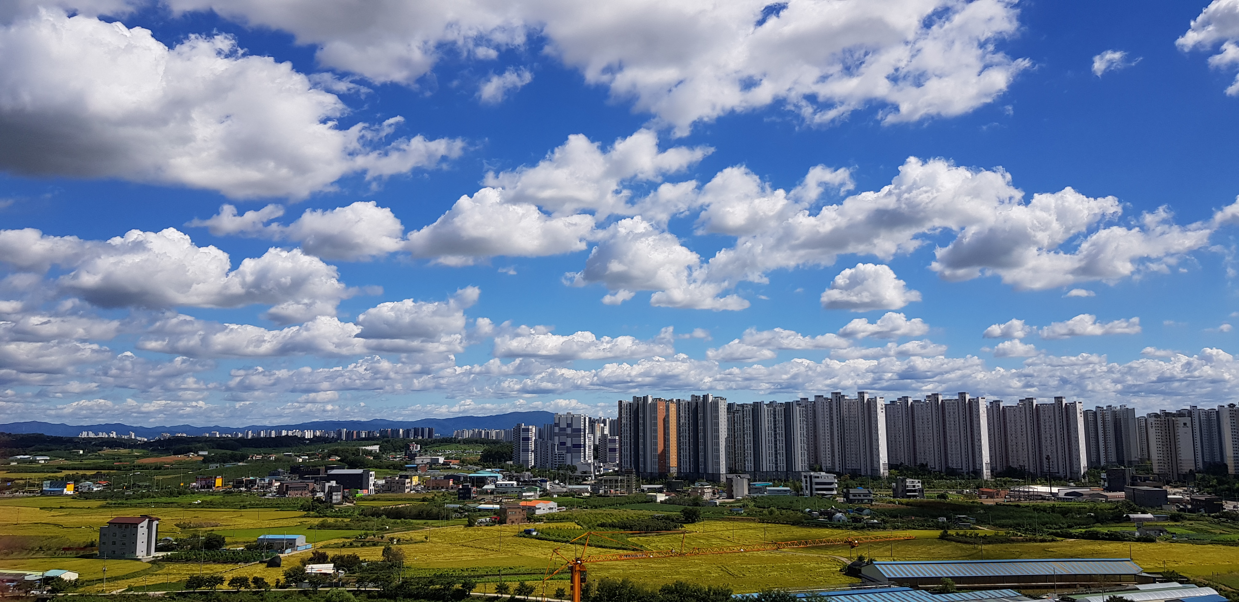 악보 > Jawsh 685, Jason Derulo, 방탄소년단 (BTS) - Savage Love (어려운 악보) by